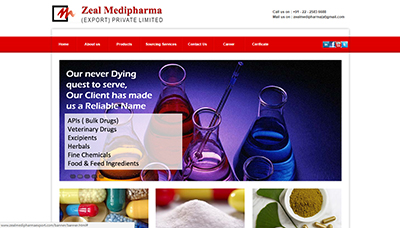 Website Development Wagle Estate